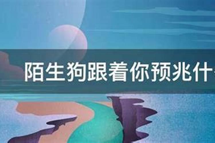 75属兔佩戴什么旺财