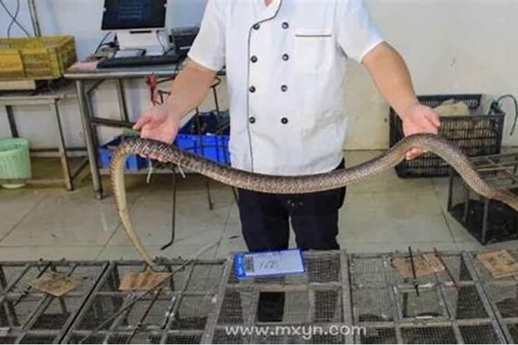 94年属狗一生有几次婚姻