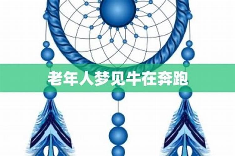 梦见群牛奔跑的预兆
