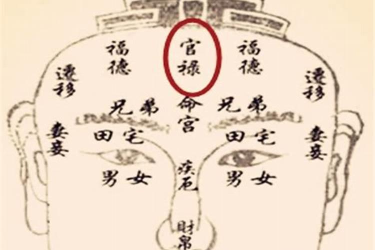 官禄宫看事业详解？