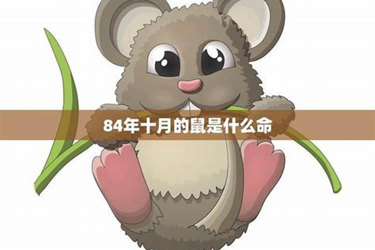 2020年农历十月初一寒衣节出生的宝宝是什么命,命运怎么样？