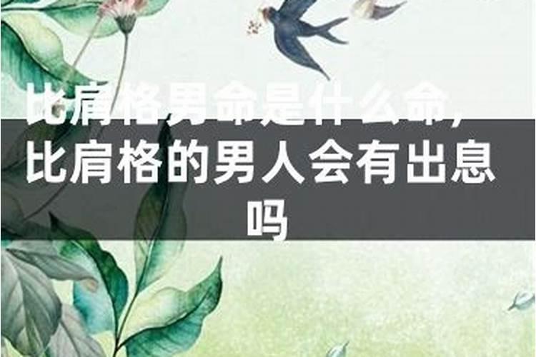 60鼠女一生的坎