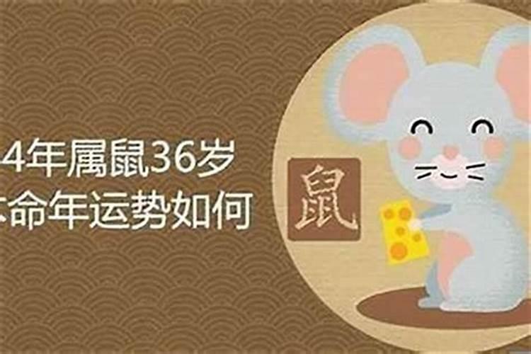 女1984年闰10月的初一 晚上8点半左右