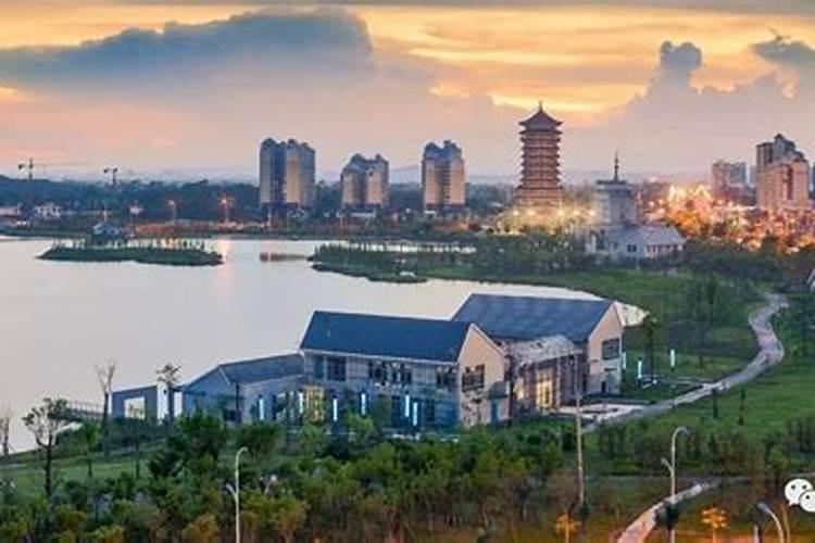 广西哪有柠檬柠檬最多的地方？