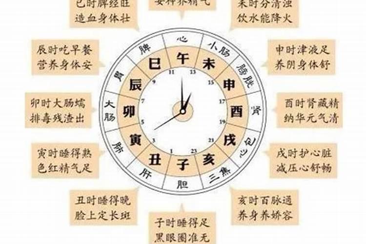 生肖羊2025年运势 属羊2025年运势及运程