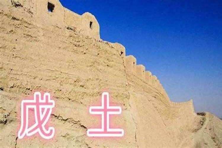 日主五行戊土,论命以戊土为中心是什么意思