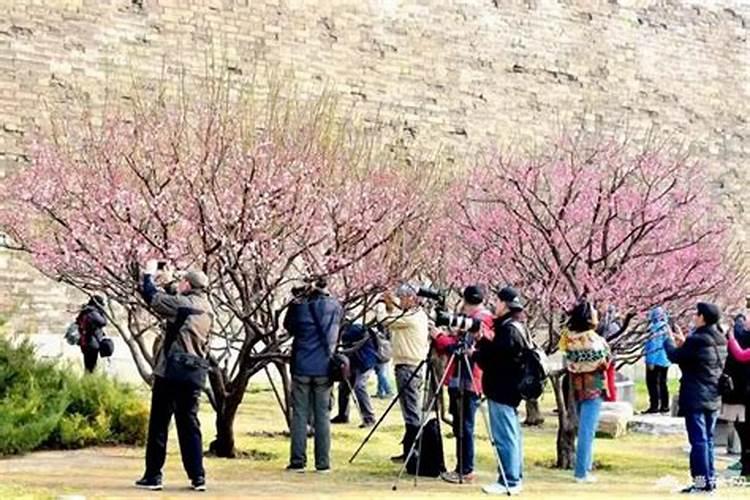 2019清明节北京哪里比较好玩
