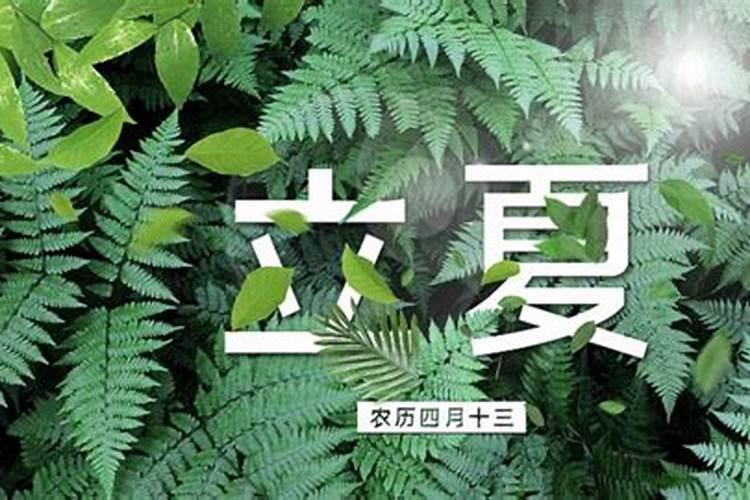2025年6月18日生肖运势详解