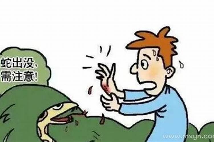 做梦梦见被蛇咬,在床上,什么预兆？