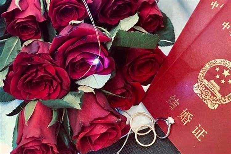办公桌什么植物旺事业
