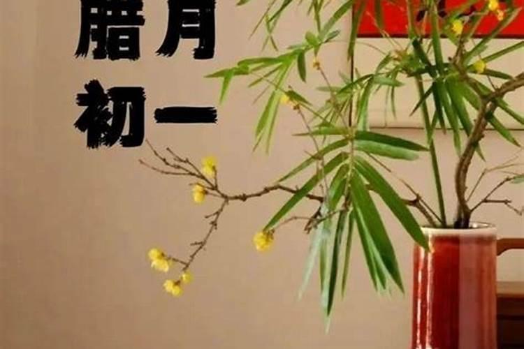 闰腊月是哪一年