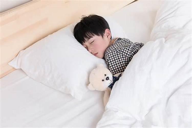农村养虾有什么技术要点呢