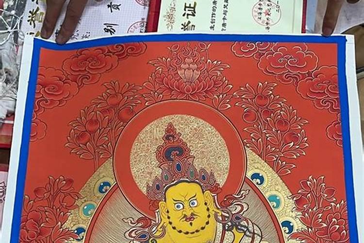 桑斗合获过哪些奖项？