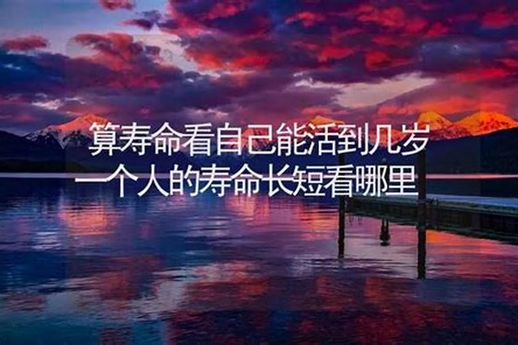 如何看五行属于什么命