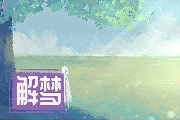 梦见自己娶了第二个老婆的预兆