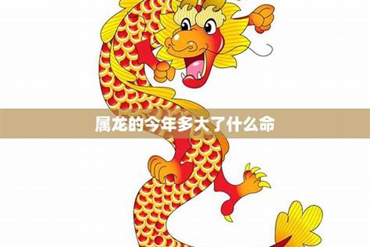 天宫童子是什么意思？