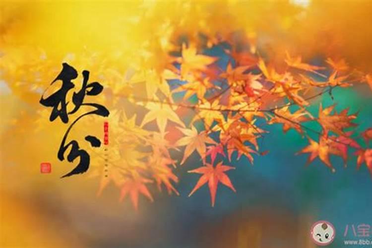 秋分已至,调养身体需从四点入手