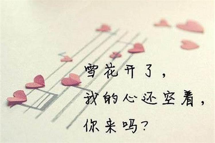 一九八一年立春是哪天