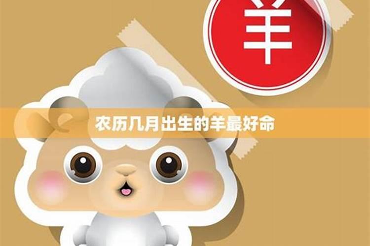 流年在命理中的含义与影响解析