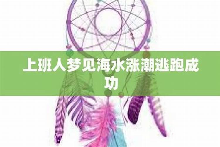 梦见大海涨潮