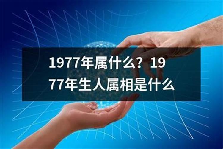 1977年6月13日申时出生的女性一生的运势