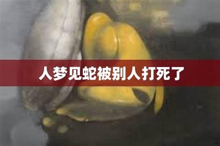 梦见过世的亲人变成蛇的预兆