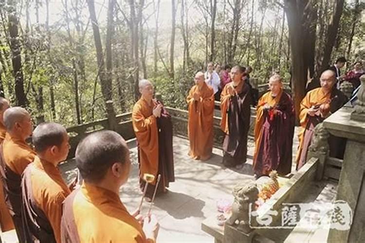 属鼠的配什么属相好