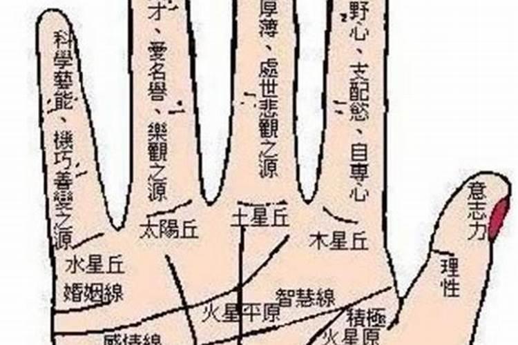 手白的女人命好不好