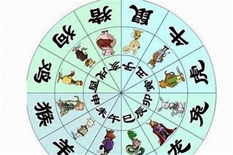 属兔的汽车放什么最旺运