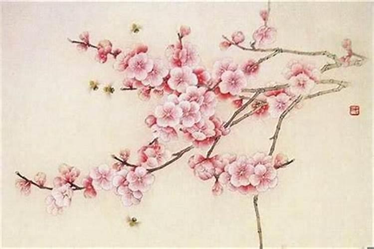 烂桃花为什么还会有好运气