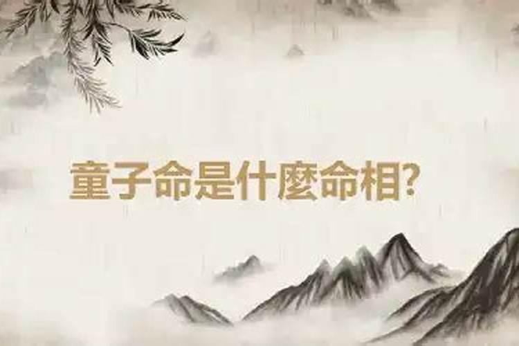 梦见很多蛇咬脚的预兆