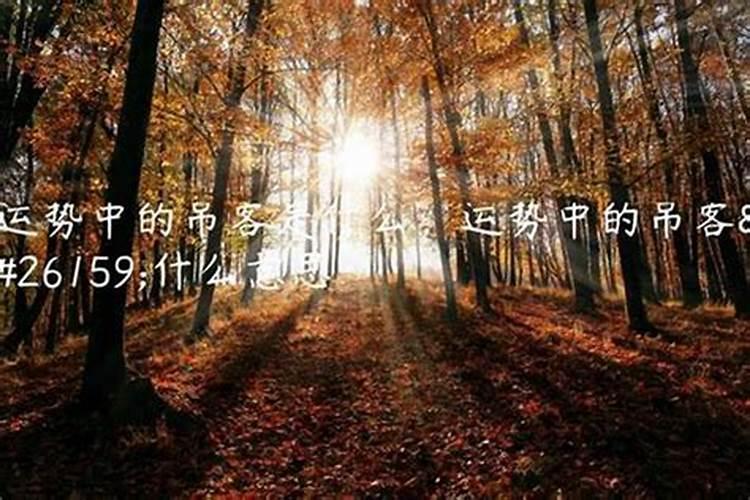 新坟第一年清明节可以添土吗