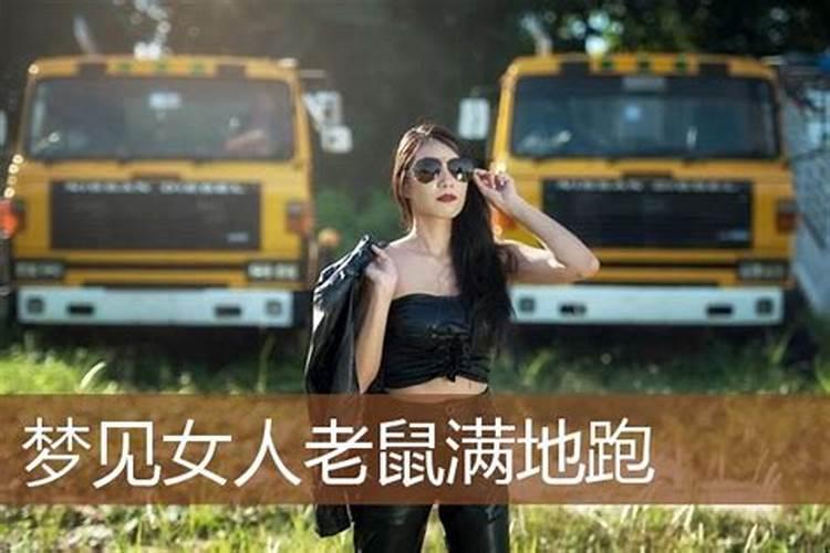 梦见一只老鼠到处跑的预兆
