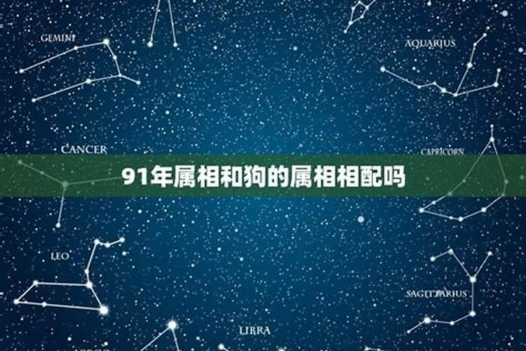 91年和94年的八字合吗,1991年男1994年女婚配
