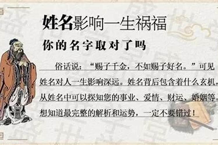 梦见小猫小狗是什么兆头？