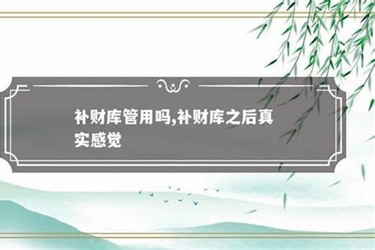 梦见母猫吃猫仔的预兆
