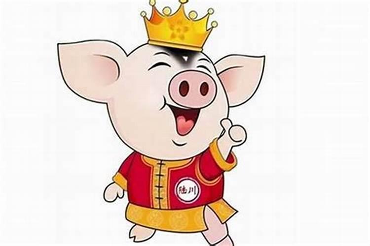 97牛跟95猪八字合不合