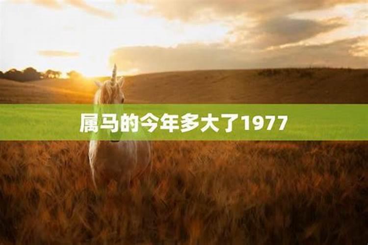 做梦梦见自己喜欢的人是什么意思