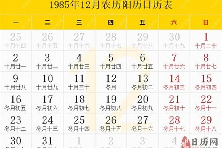 1985年阴历11月15日卯时生人的八字是什么