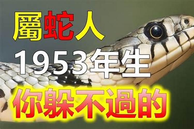 梦到男友的前女友曾经怀孕