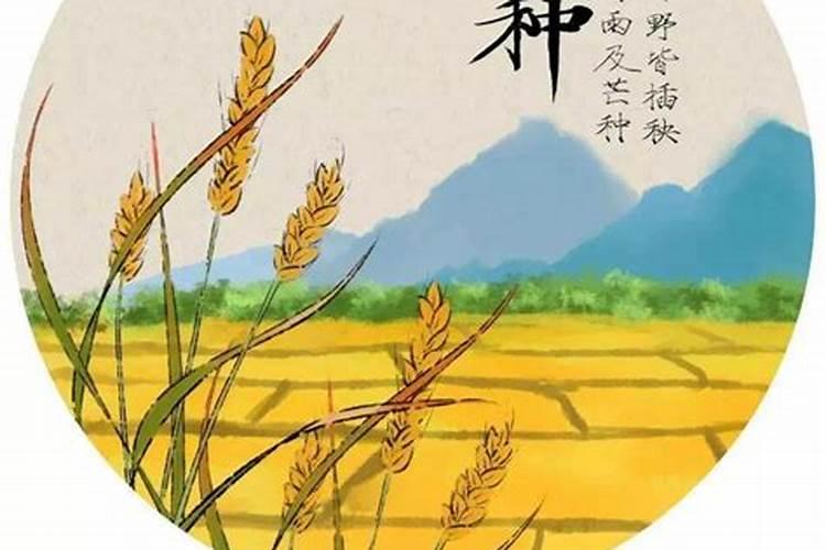 二十四节气习俗 二十四节气习俗有哪些