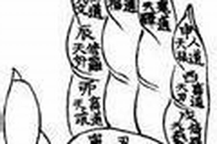 一掌经算命 天贵 天艺 天贵 天艺 求高人批