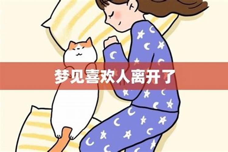 梦到喜欢的人离我而去是啥意思