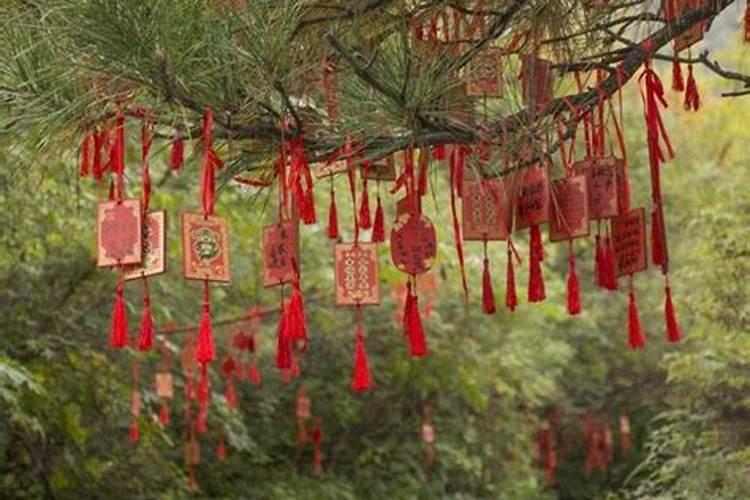 树枝探姻缘和草鞋定终身——白族婚俗
