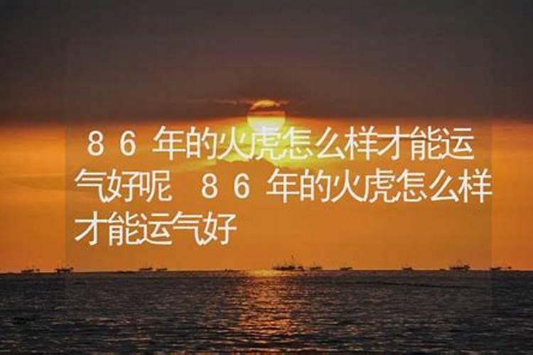 1986年女虎2024年属虎的命运