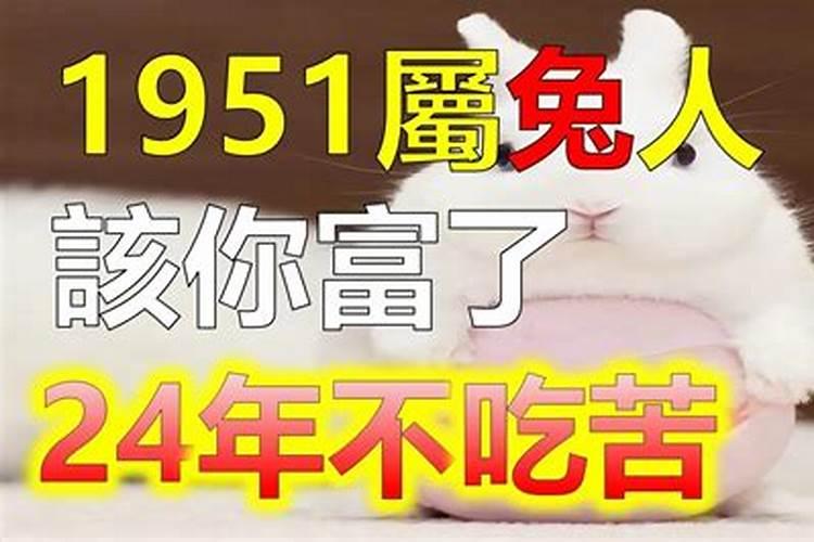 1951年兔今年运势如何