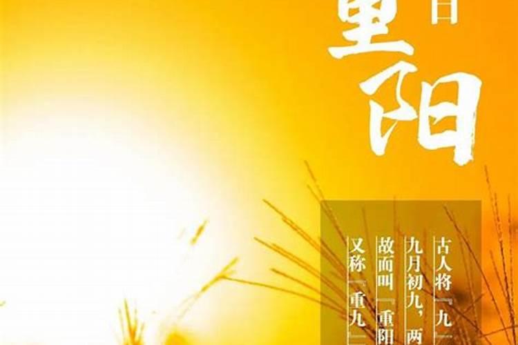 属牛今年几月份财运最好