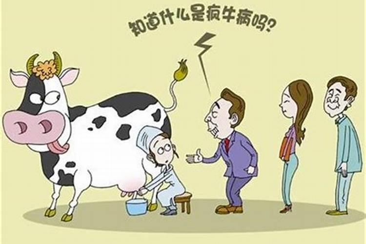 梦见牛发狂是什么意思