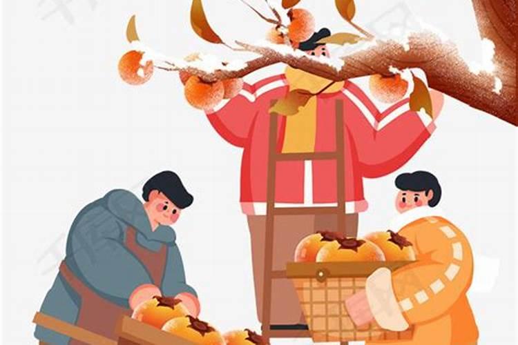 秋季是收获的季节秋分也是我国的 我国的农民丰收节是什么时候