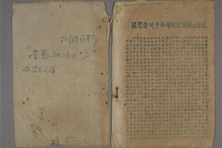 梦见小猪仔是什么意思 不同梦境有不同解析